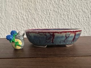Maceta de cerámica para bonsai name