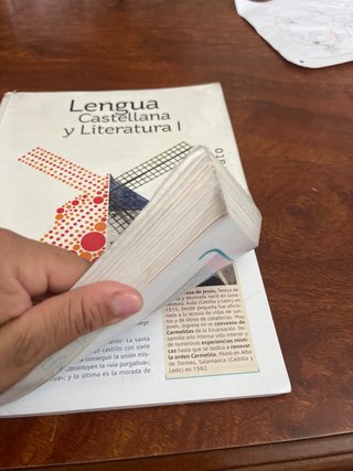 Lengua castellana y Literatura I 1º Bachillerato