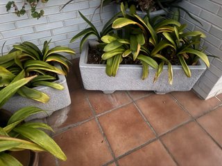 Lote 4 jardineras de piedra + 2 iguales gris