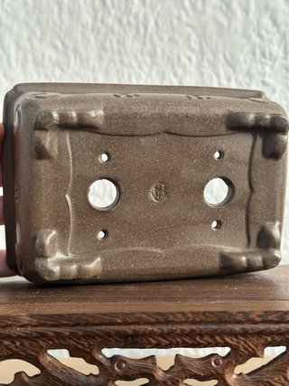 Maceta de autor para bonsai de cerámica