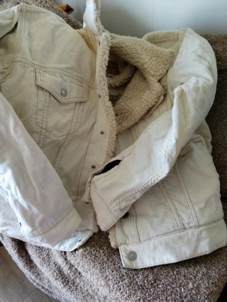 Cazadora Pepe Jeans Beige Forrada
