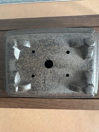 Maceta de autor para bonsai