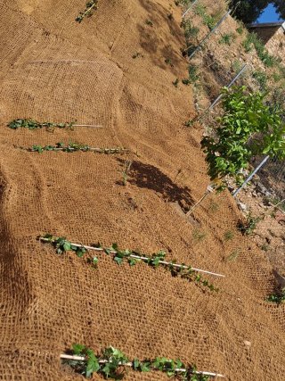soy jardinero. y  lo si todo ¿en cuesta brava?