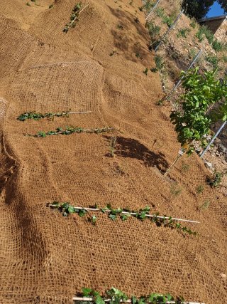 soy jardinero. y  lo si todo ¿en cuesta brava?
