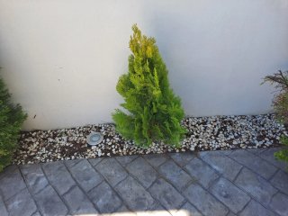 soy jardinero. y  lo si todo ¿en cuesta brava?