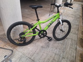 Bicicleta GAC 206 niño 20 pulgadas