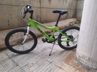 Bicicleta GAC 206 niño 20 pulgadas