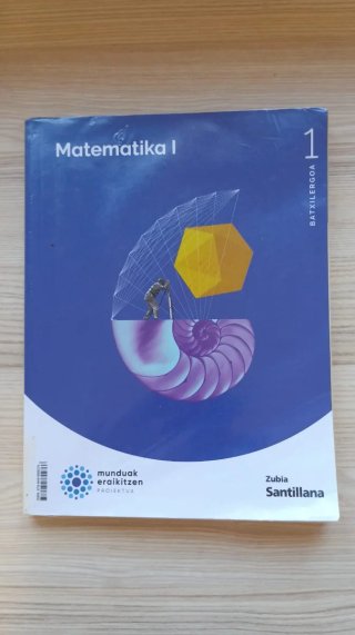 MATEMATIKAS 1BTX MUNDUAK ERAIKITZEN