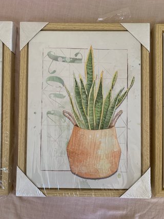 Set 3 Cuadros Decoración Plantas