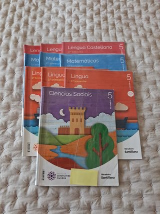 Lote libros 5 de primaria