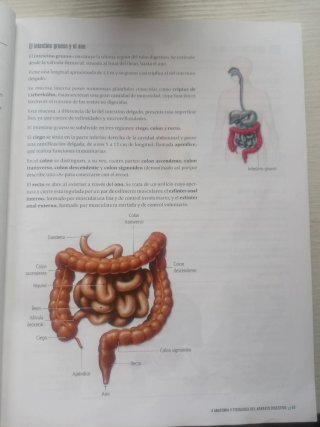 Proyecto: FanFest - Biología y Geología 3 ESO