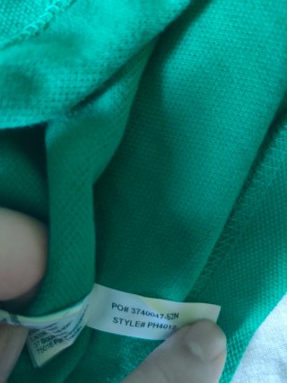 Polo Lacoste Verde