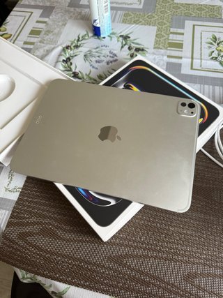 iPad Pro 11 M5 256GB Gris