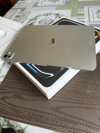 iPad Pro 11 M5 256GB Gris