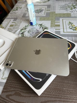 iPad Pro 11 M5 256GB Gris