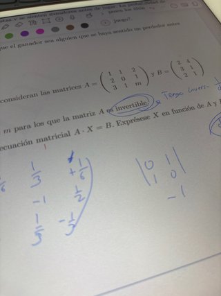 Clases particulares de verano
