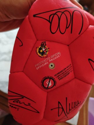 Balón Fútbol España Mundial 2010 Firmado