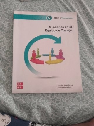 Relaciones en el equipo de trabajo Grado Medio