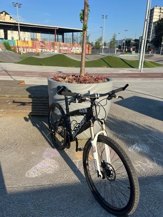 Bicicleta Massi RAW Negra