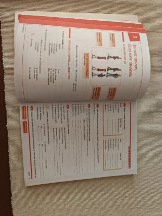 Grammaire progressive du français débutant A1