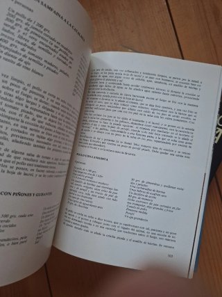 El libro de la cocina española