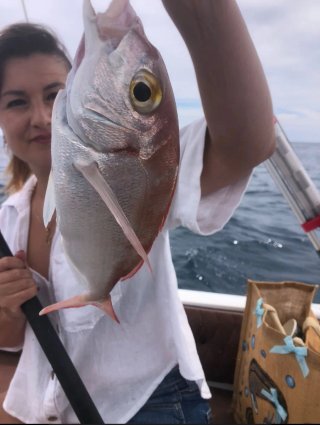 Salidas de Pesca en Barco Fuengirola Fondo y curri