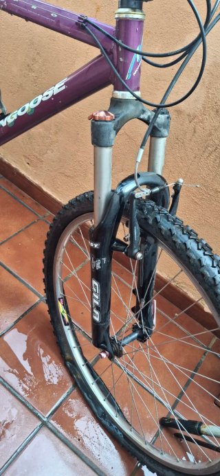 Bicicleta Mongoose