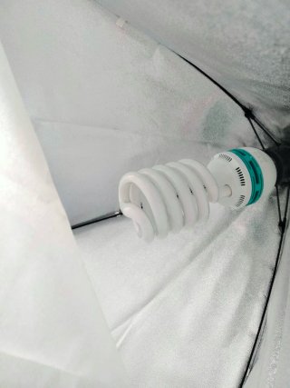 Kit de iluminación.