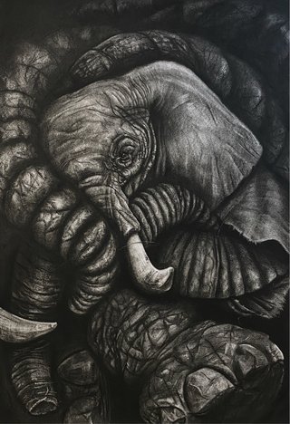 Clases de dibujo y pintura realismo en carabanchel