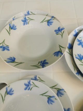 Set 8 Piatti Porcellana Fiori Blu