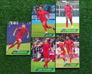 5 Card Panini Top Class 2025 Bayern Monaco