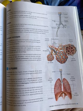 Biologia i Geologia 3, Secundària, Fanfest Baula