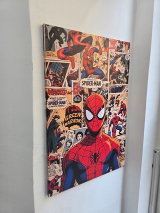 Quadro Spider-Man 40x60 Cm
