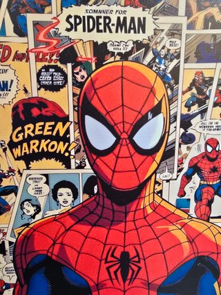 Quadro Spider-Man 40x60 Cm
