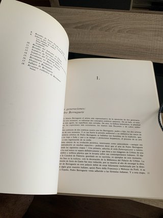 Libro Monografia Alonso Berruguete