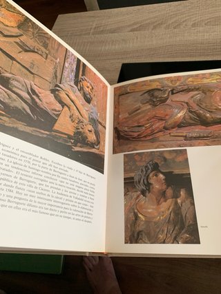 Libro Monografia Alonso Berruguete