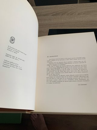 Libro Monografia Alonso Berruguete