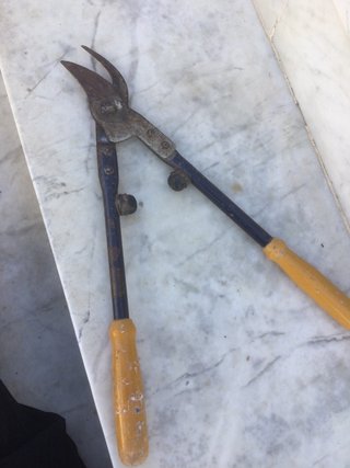 troncarami professionale vintage