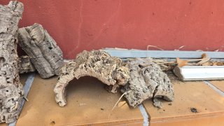Corchos Naturales para Jaulas