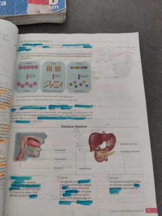 Biología y Geología. 3 Secundaria. Revuela. Com...