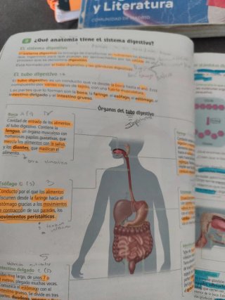 Biología y Geología. 3 Secundaria. Revuela. Com...