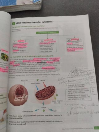 Biología y Geología. 3 Secundaria. Revuela. Com...