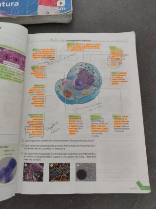 Biología y Geología. 3 Secundaria. Revuela. Com...