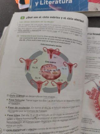 Biología y Geología. 3 Secundaria. Revuela. Com...