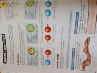 Proyecto: FanFest. Ciencias de la Naturaleza 5 ...
