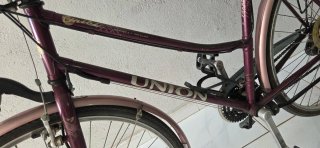Bicicleta Holandesa Union Morada