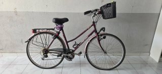 Bicicleta Holandesa Union Morada
