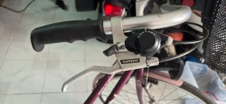 Bicicleta Holandesa Union Morada