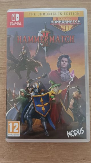 Hammerwatch 1 y 2 Nintendo Switch