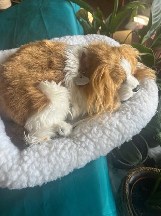 Perro de peluche con cuna